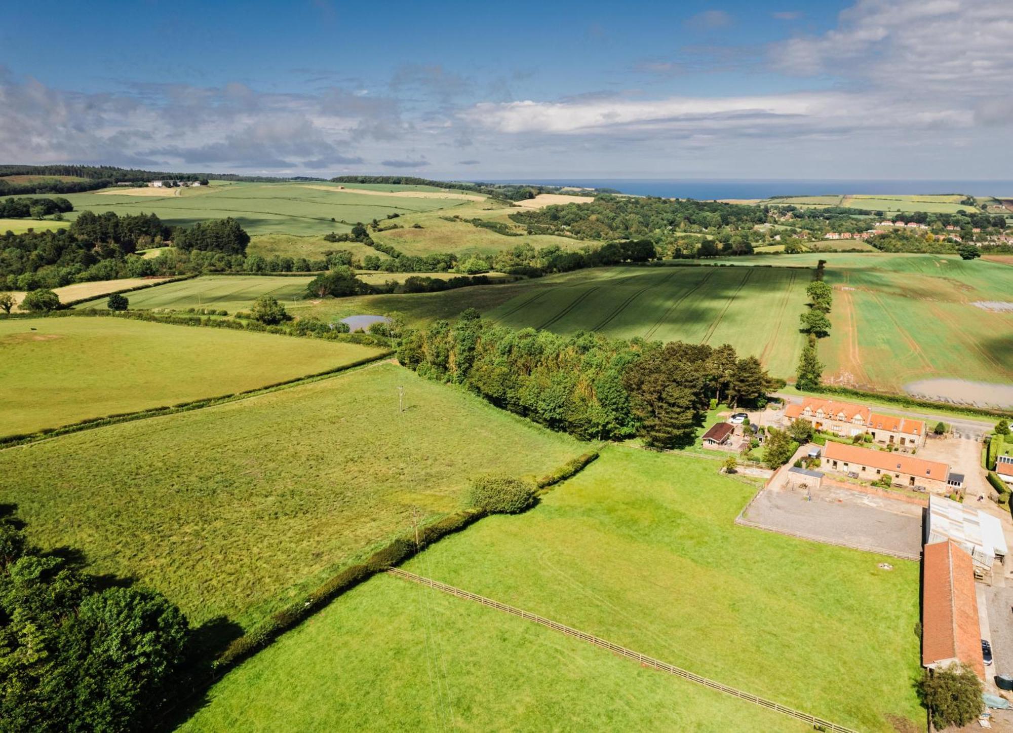 Badger Cottage Scarborough Bagian luar foto